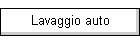 Lavaggio auto