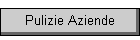 Pulizie Aziende